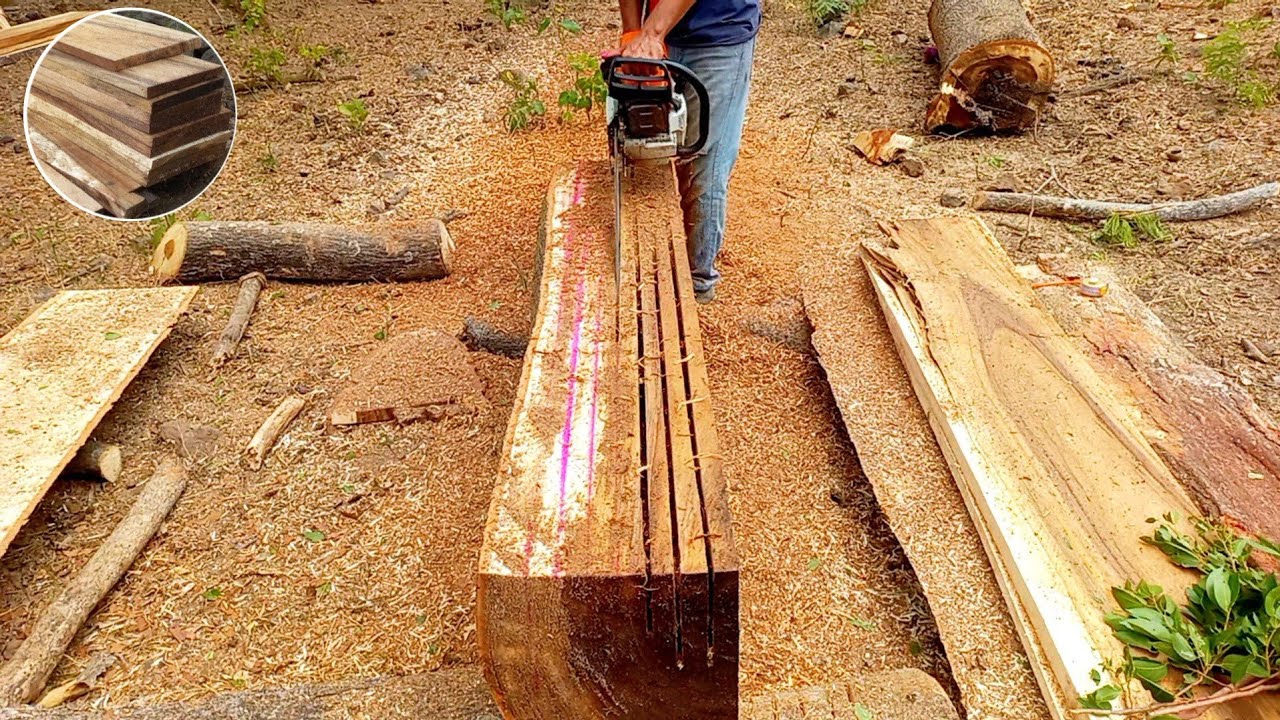 Como sacar tablas perfectas con Motosierra Sthil 661,de 15 pulgadas