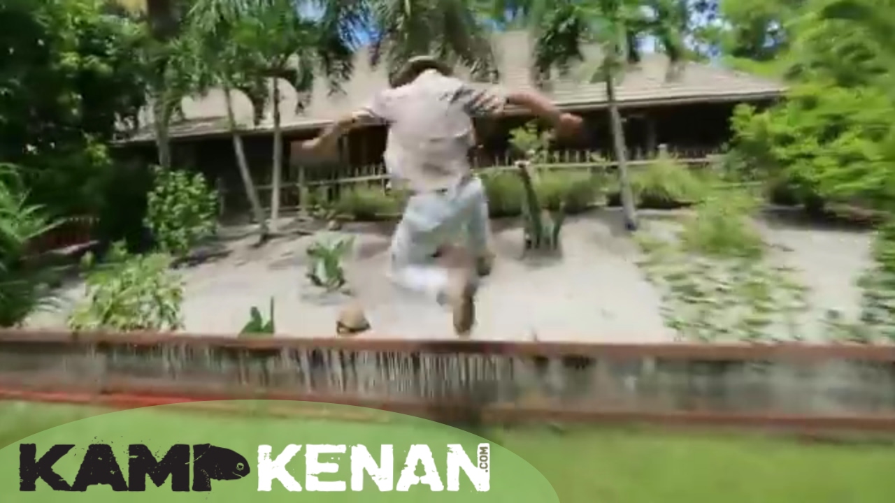 Chinese Box Turtle! Kamp Kenan S1 Episode 12
