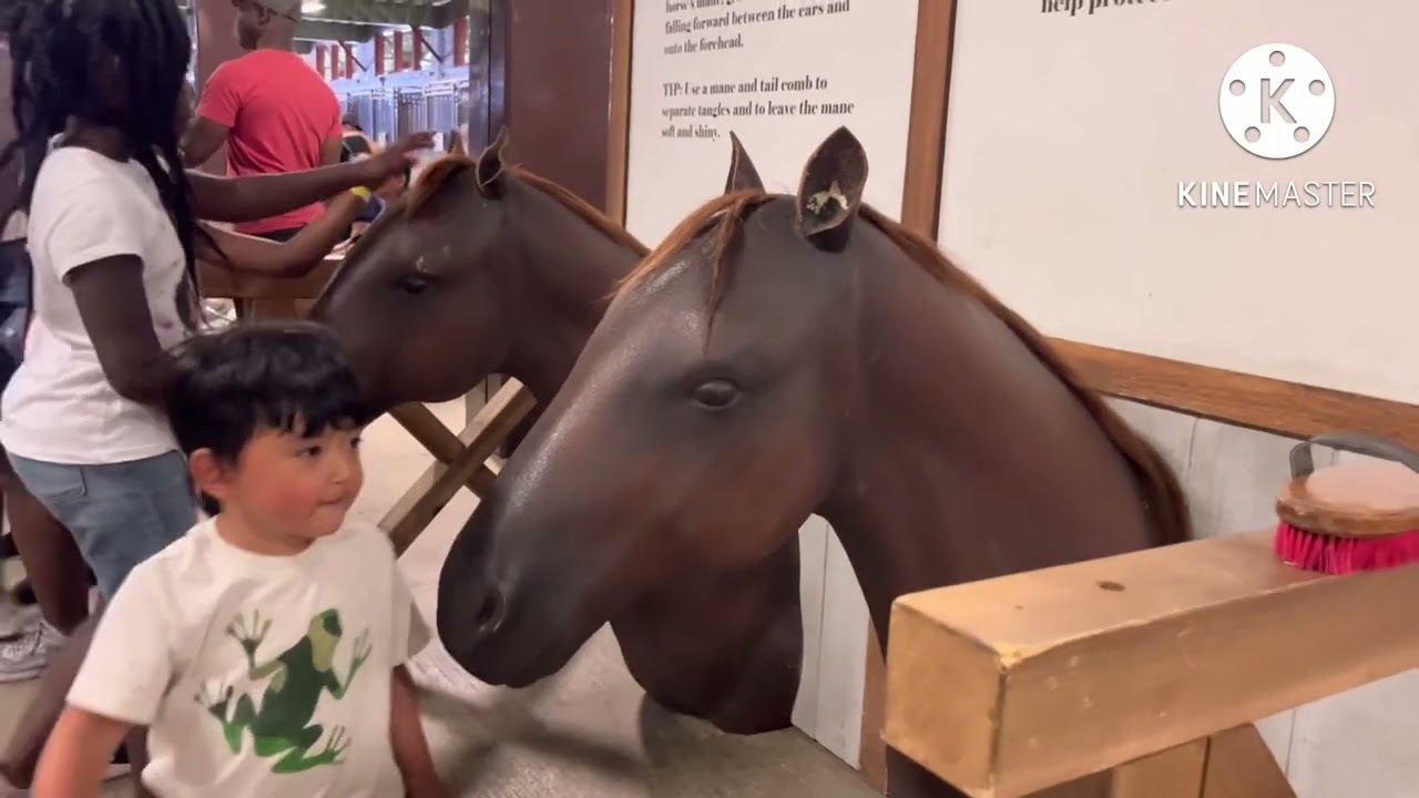 Calgary Stampede 2022 #calgarystampede  #calgaryevents