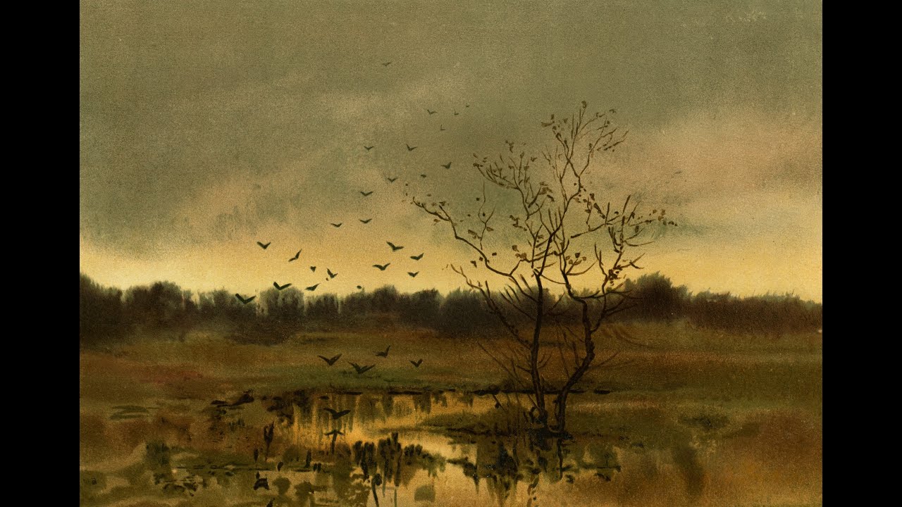 Takashi Yoshimatsu - Ode To Birds And Rainbow