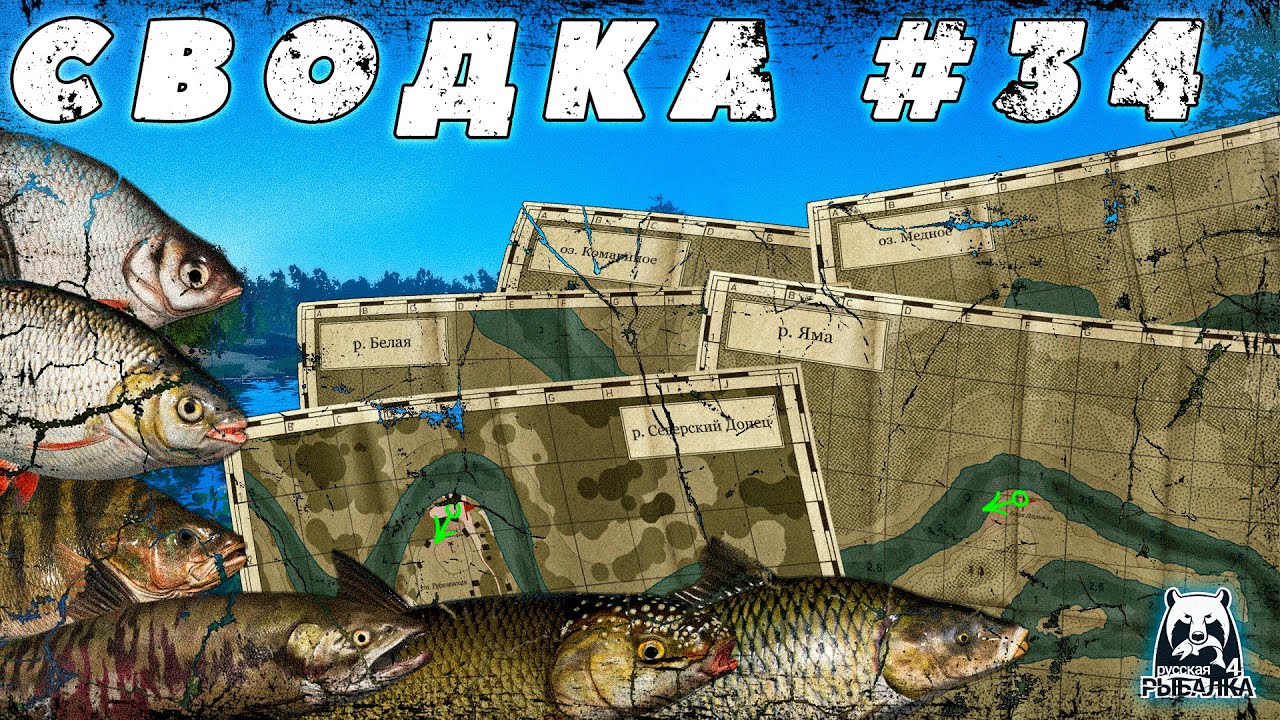 СВОДКА ПО ВОДОЁМАМ №34 | ФАРМ СЕРЕБРА | САЗАН | ВЫРЕЗУБ | ОКУНЬ | РАК | СОМ | ОСЁТР