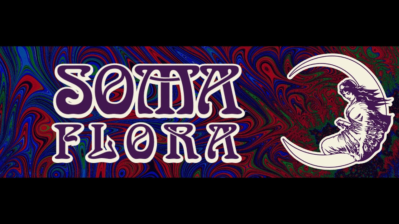 Soma Flora CBD Tinctures | CBD Store India
