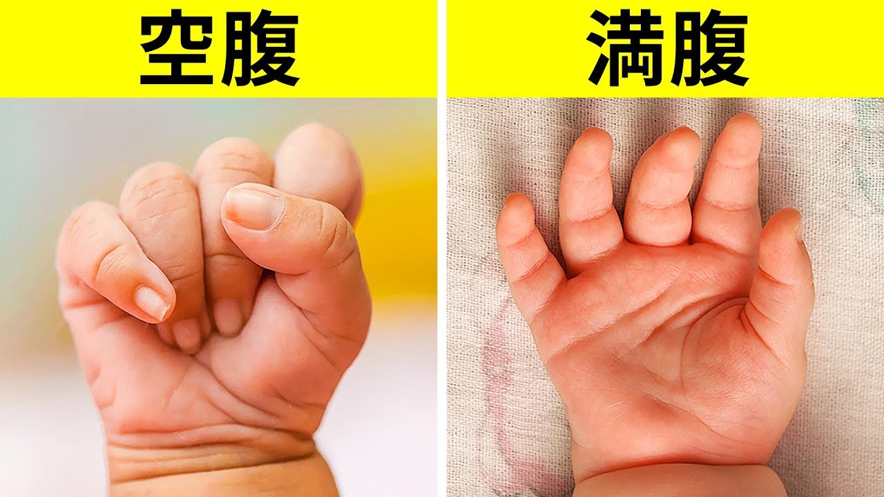 赤ちゃんがあなたに伝えようとしている１８のこと
