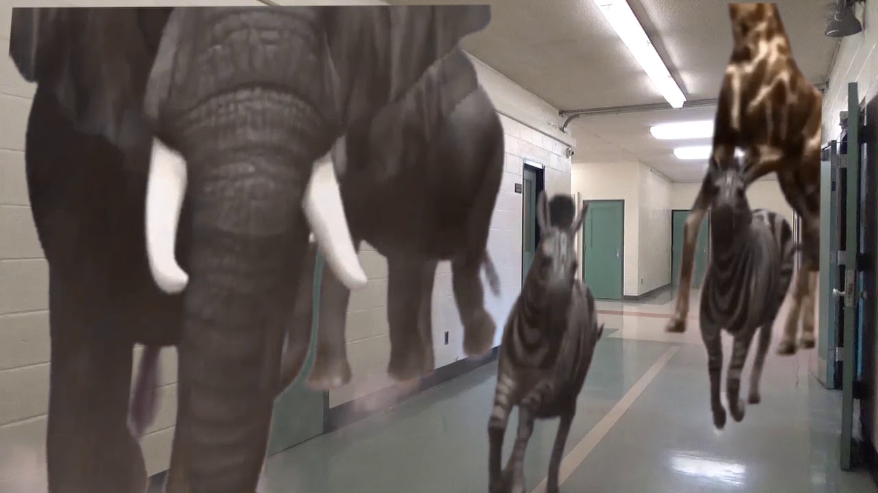 Jumanji Green Screen