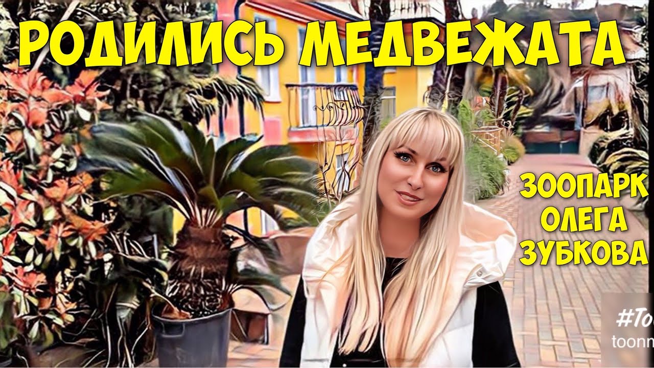 В зоопарке ОЛЕГА ЗУБКОВА родились МЕДВЕЖАТА.