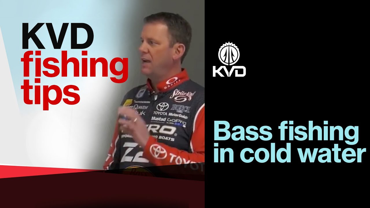 Советы по ловле окуня в холодной воде с помощью KVD — Power Fishing