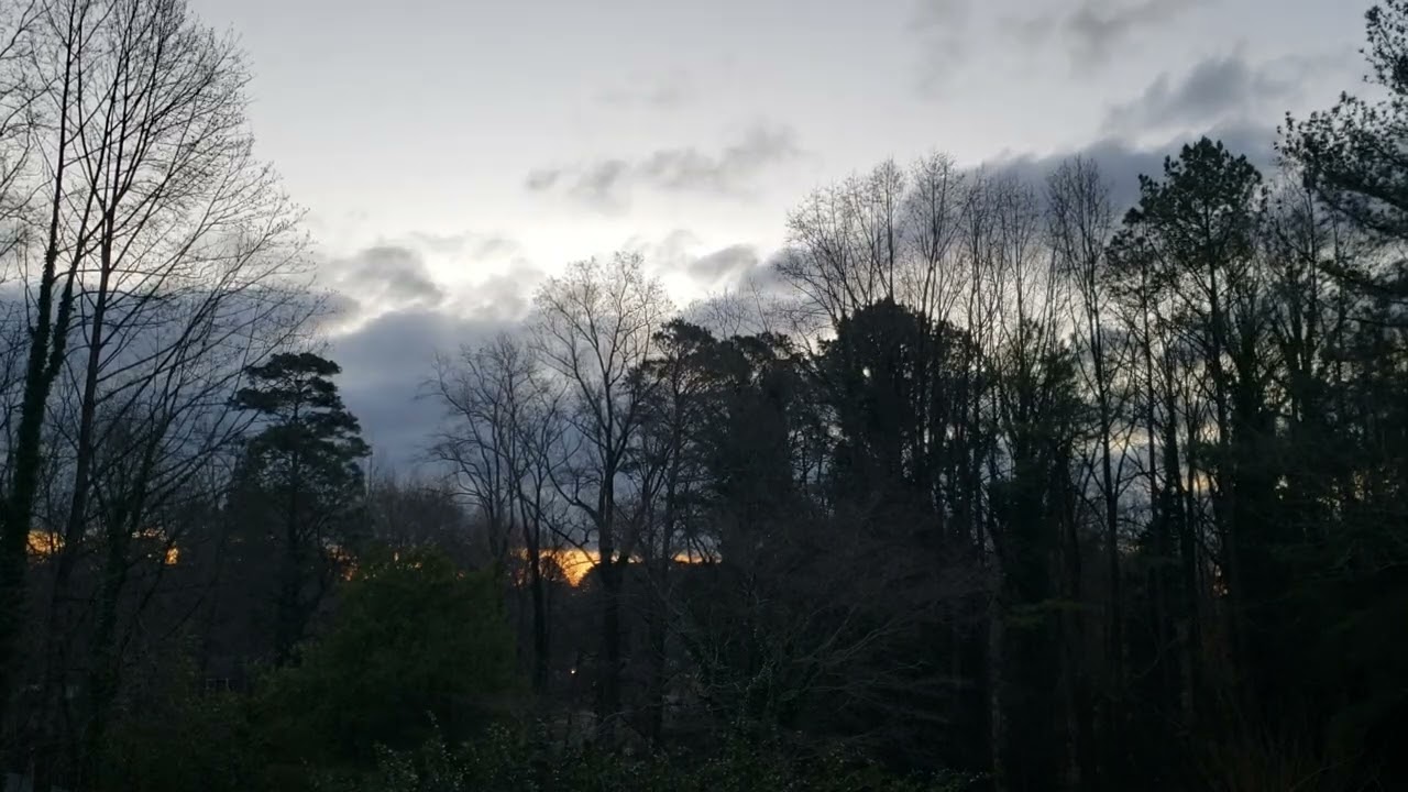 FEB 22, 2026. Beautiful Sunrise. Peaceful. Relaxing. Nature sound. Birds chirp.