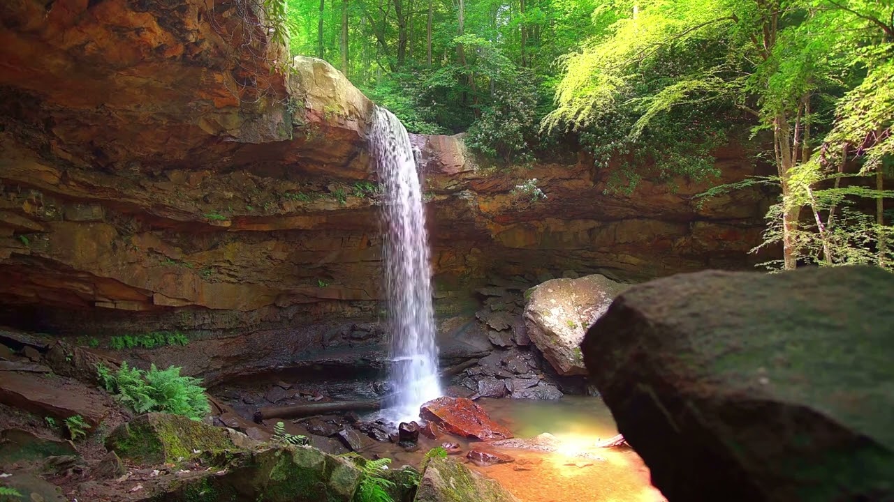 Forest Waterfall   ASMR