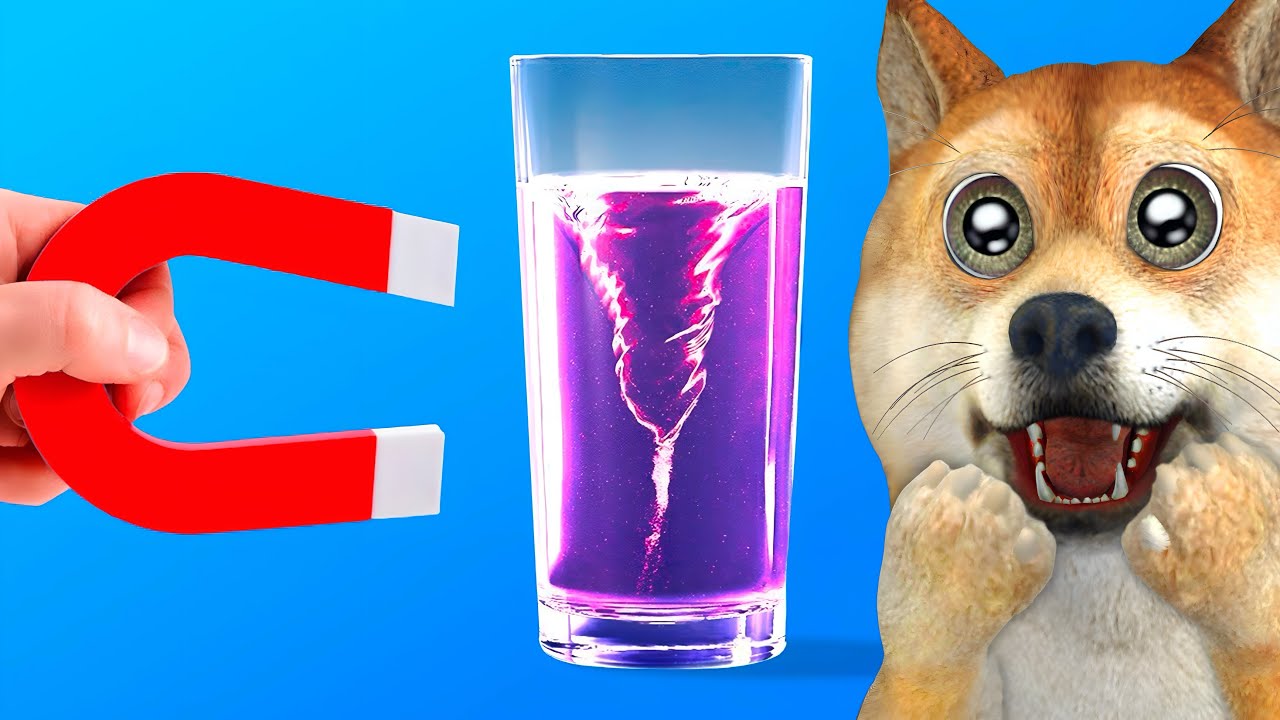 Experimentos científicos que parecem MÁGICAS!