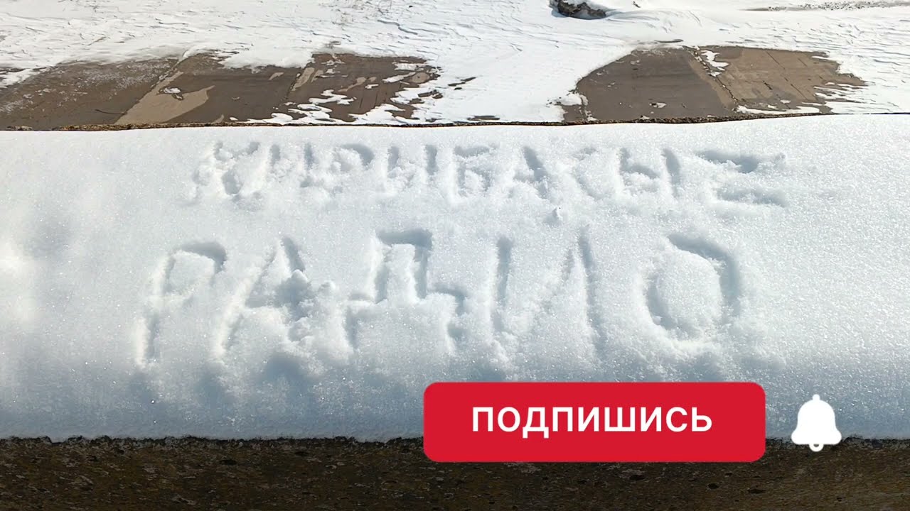 Поймал всех! радиосканер aor 8000. Сравнение с tecsun pl-368