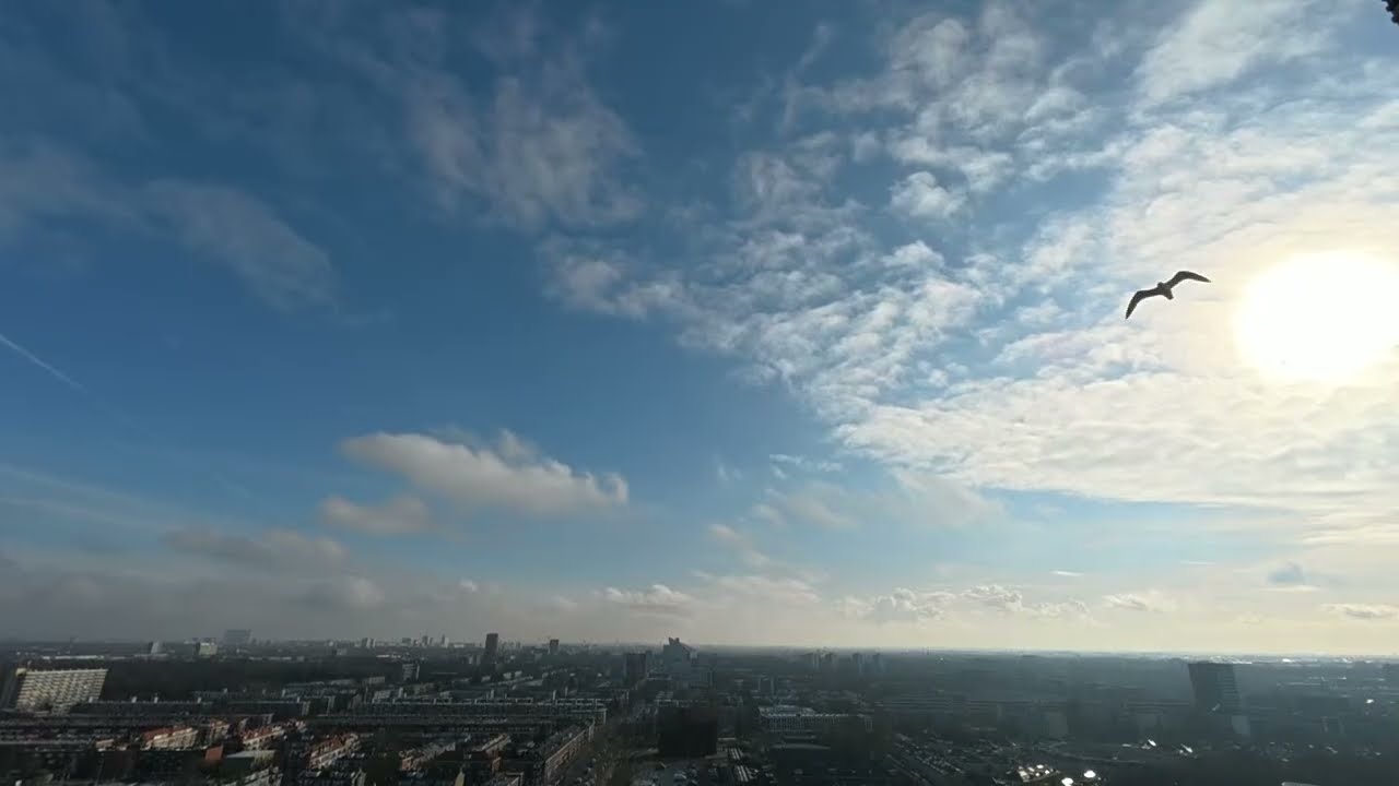Live 🔴 | City Skyline View