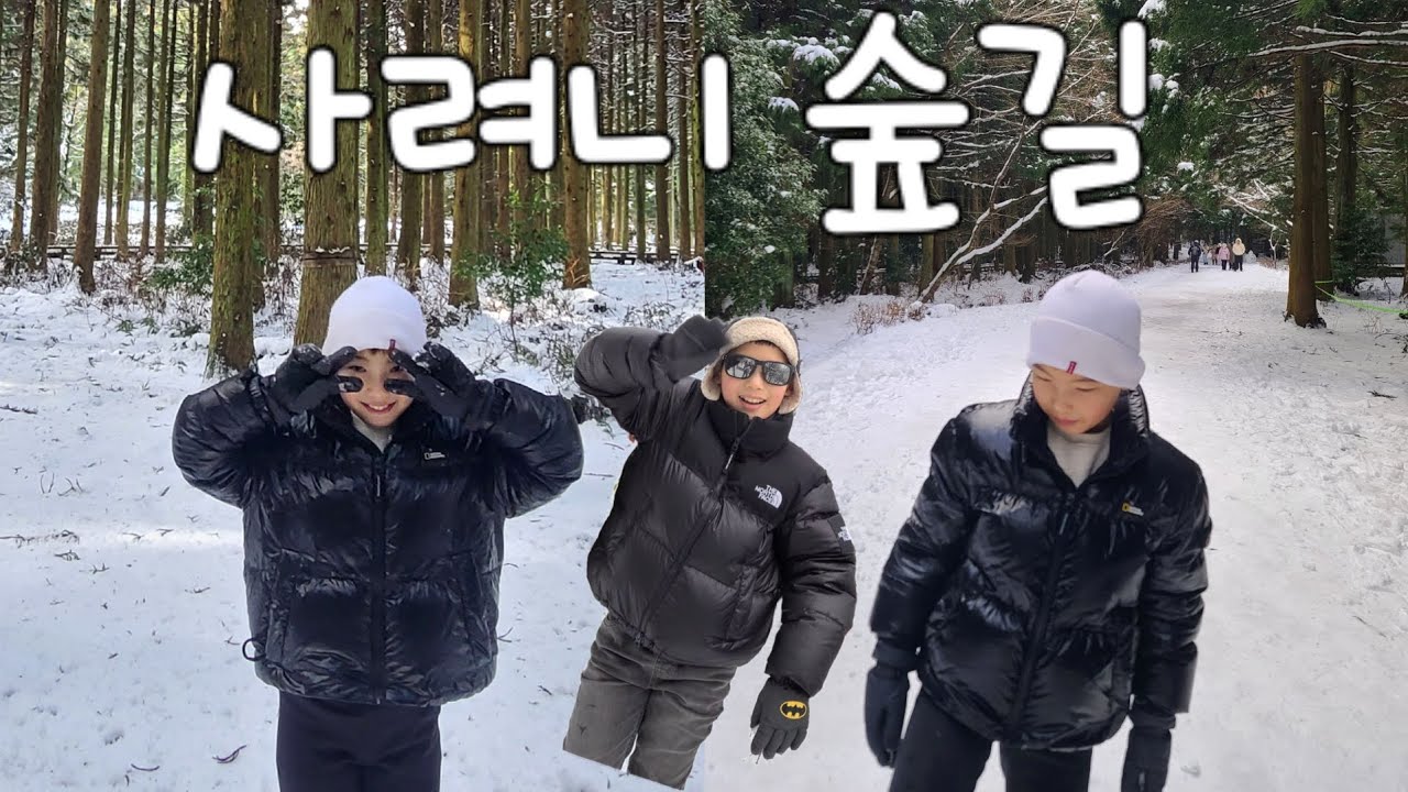 겨울 제주도 사려니숲길 눈오는 날 풍경