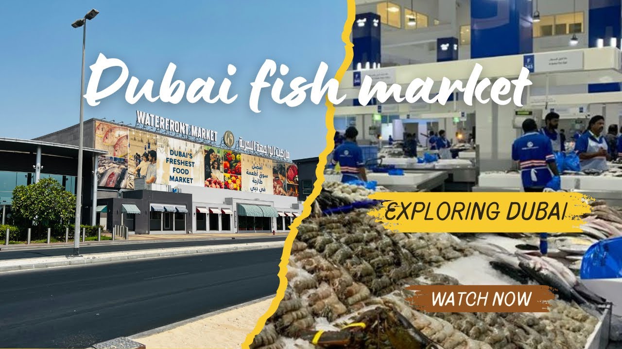 Dubai Fish Market | Water Front Market | Must visit 🐟🐠