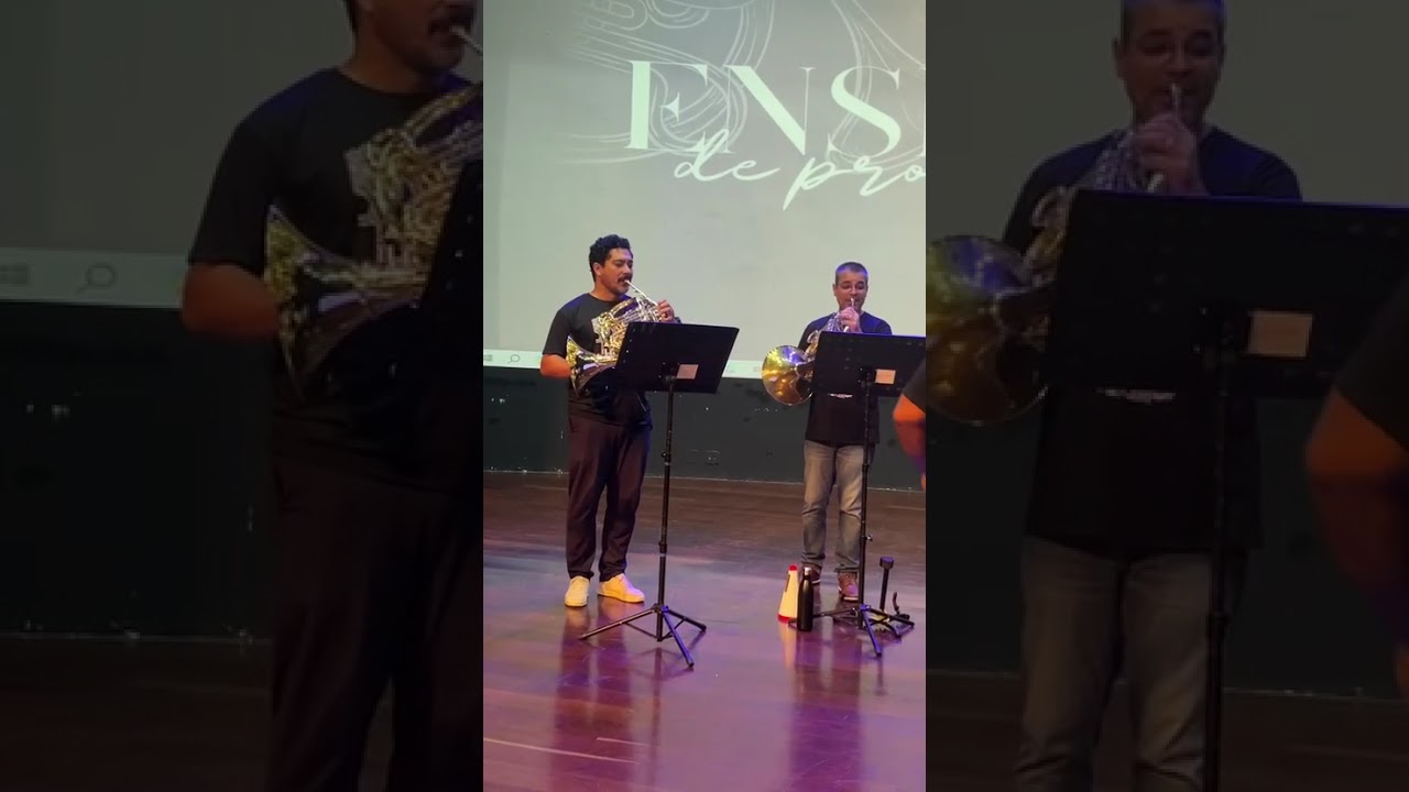 Soldado Ferido - Octeto de Trompas (Professores) #frenchhorn #trompa #musica 