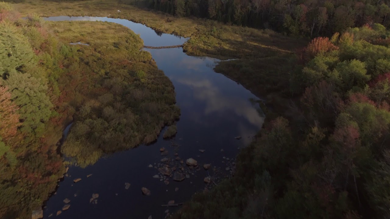 Adirondack Fall Footage [4k]