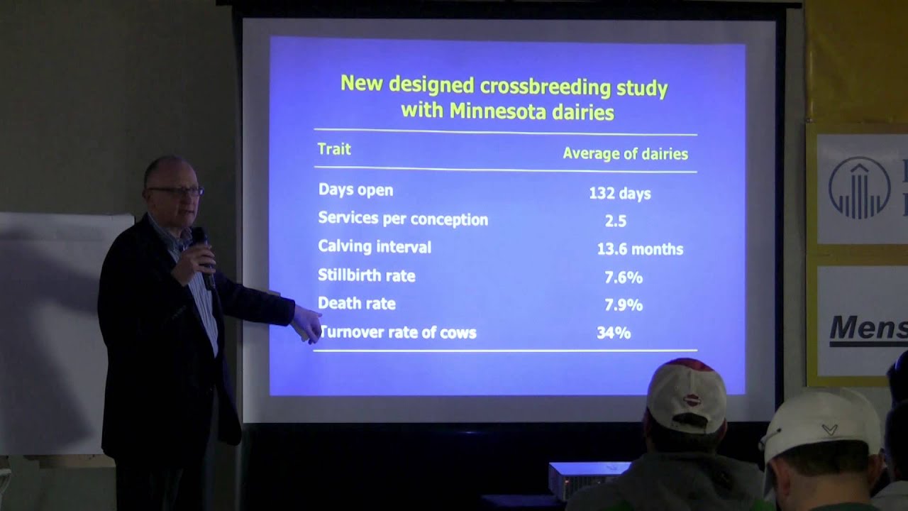 Panel discussion on crossbreeding: Video footage from 2013 World Ag Expo