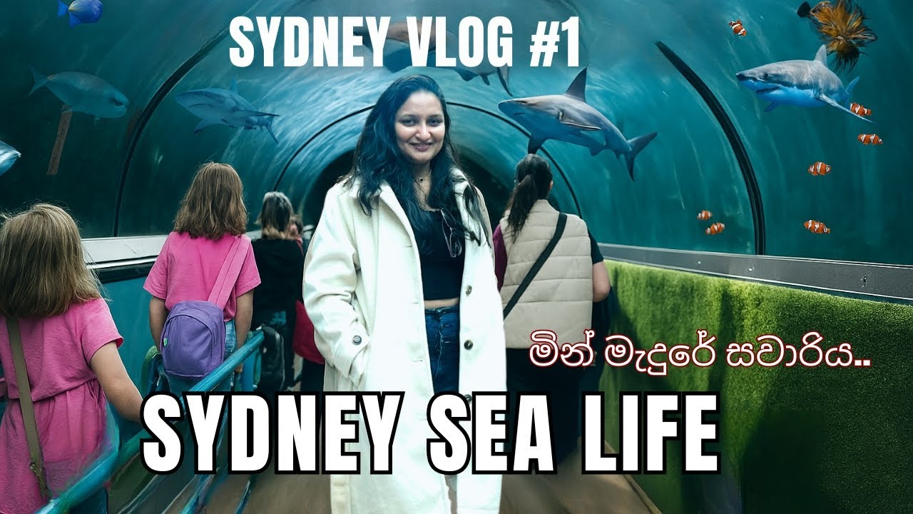 Sydney Sea Life | Sydney Vlog 1 | මින් මැදුරේ සවාරිය