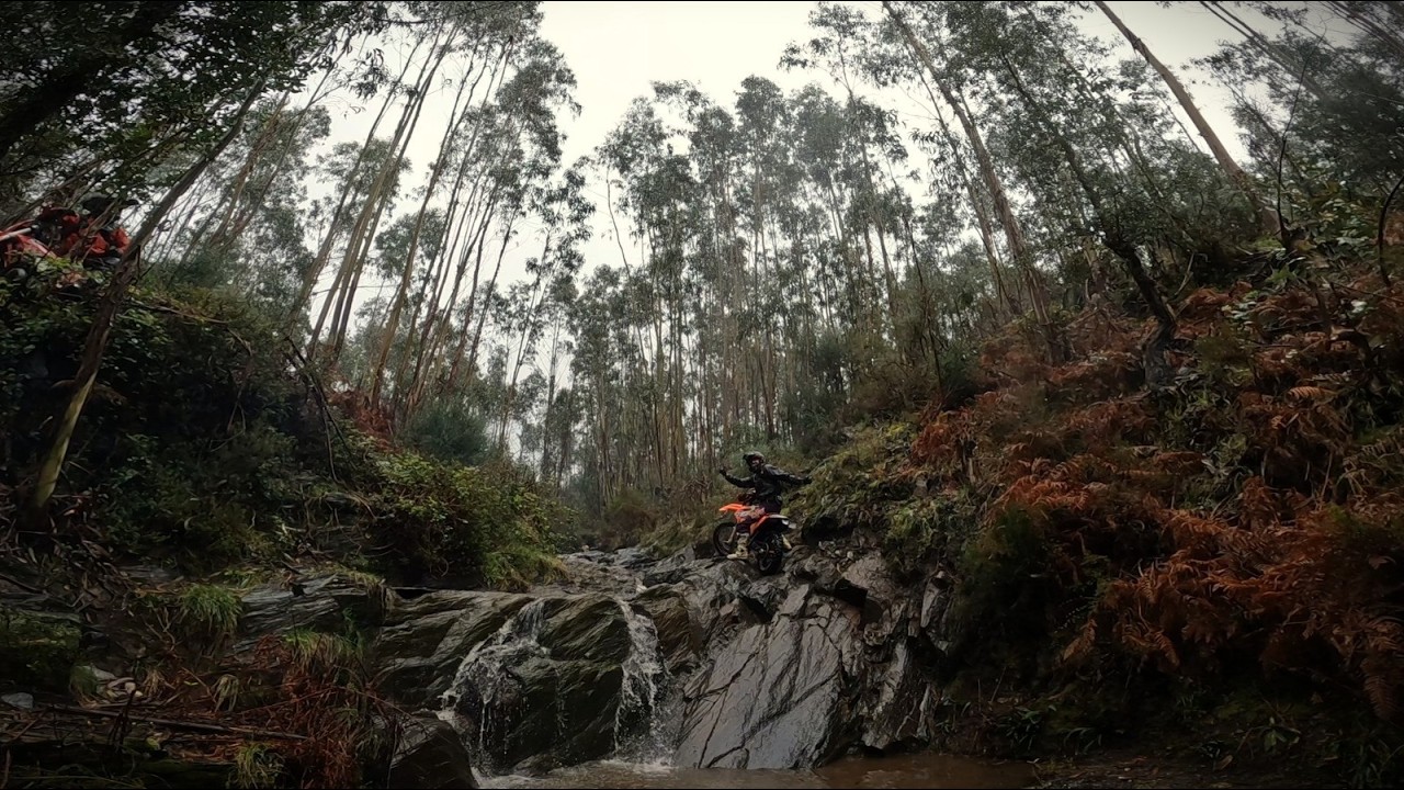 Lagares 2026 🔥🧨