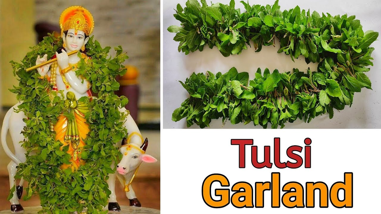 Tulsi Garland || Making Tulsi Garland for pooja decoration. Easy method Tulsi Garland Making.
