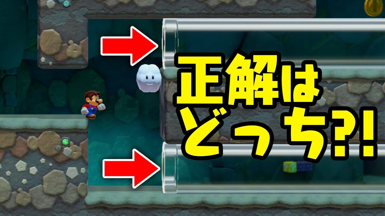 【究極の選択？】みんなはどっちを選ぶ？【マリオメーカー2】