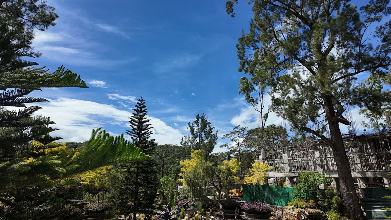 baguio trip with fam