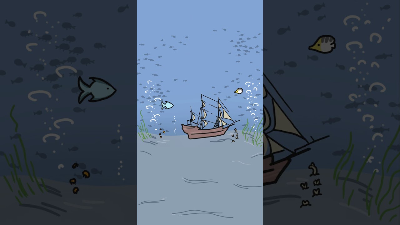 How long will a shipwreck last on the sea floor?
