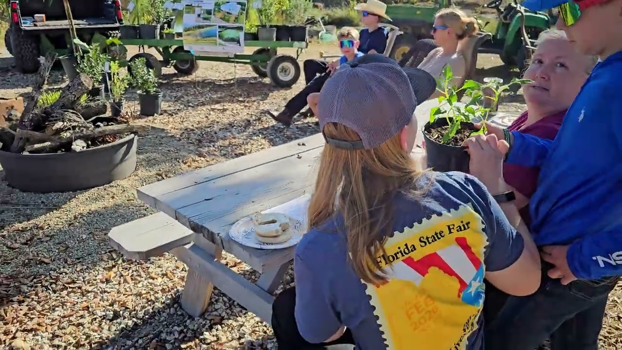 Native Pine Tree Planting in Florida | Chris Stephens on Water, Wildlife & Landscaping
