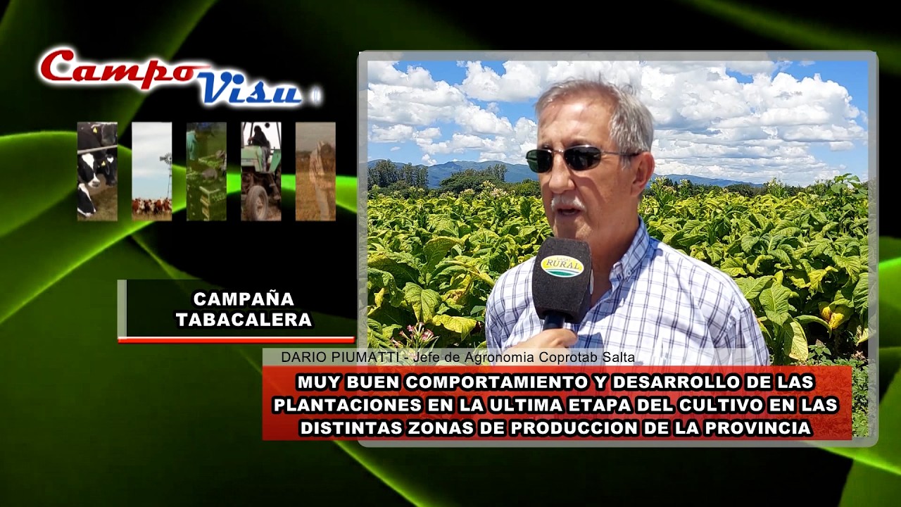 CAMPO VISUAL 05-03--2026