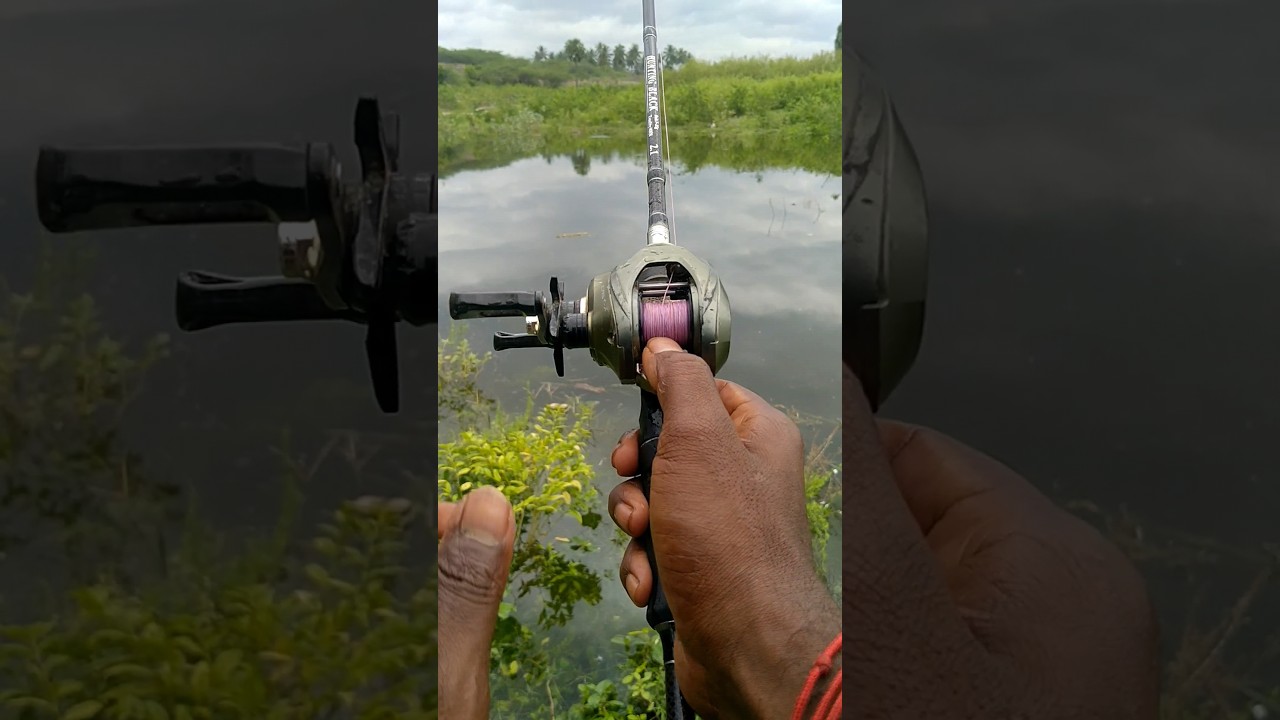 long casting a lure is very important in snakehead fishing #snakehead #fortuneangler