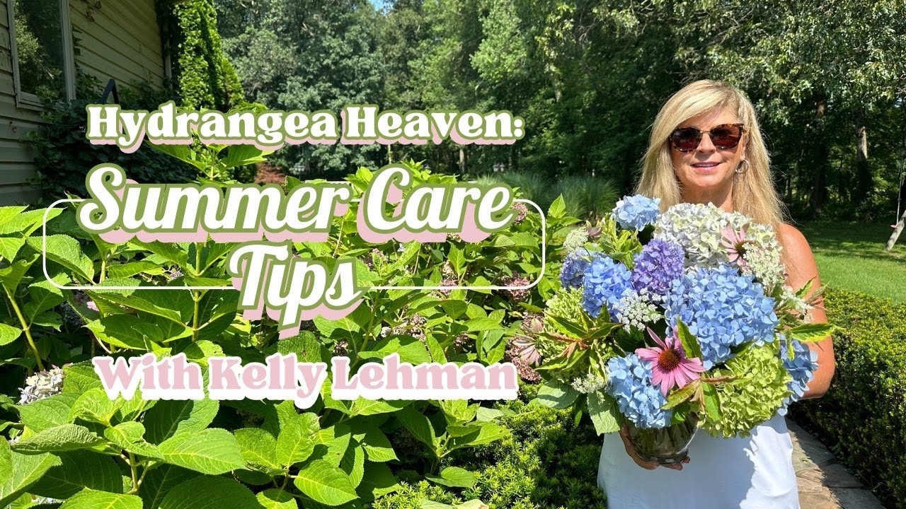 Hydrangea Heaven: Summer Care Tips with Gardening Guru Kelly Lehman | Boost Your Garden's Beauty!