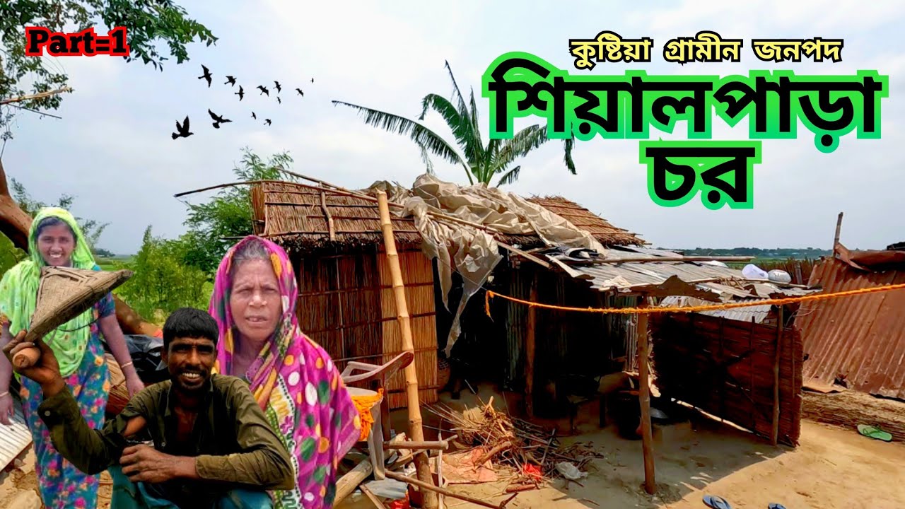 কুষ্টিয়া শিয়ালপাড়া চর মানুষের সংগ্রামী জীবনের গল্প || চিলমারী || দৌলতপুর || কুষ্টিয়া || Basic Salam.