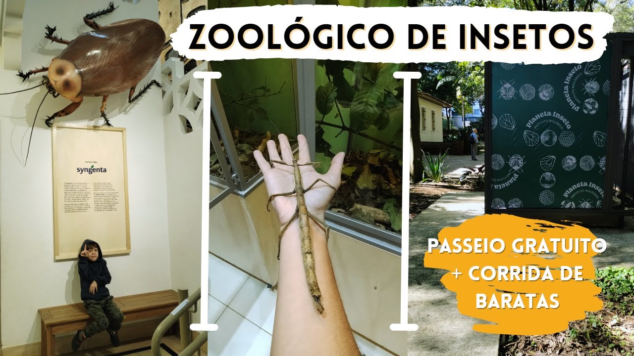 PLANETA INSETO | INSTITUTO BIOLÓGICO DE SP