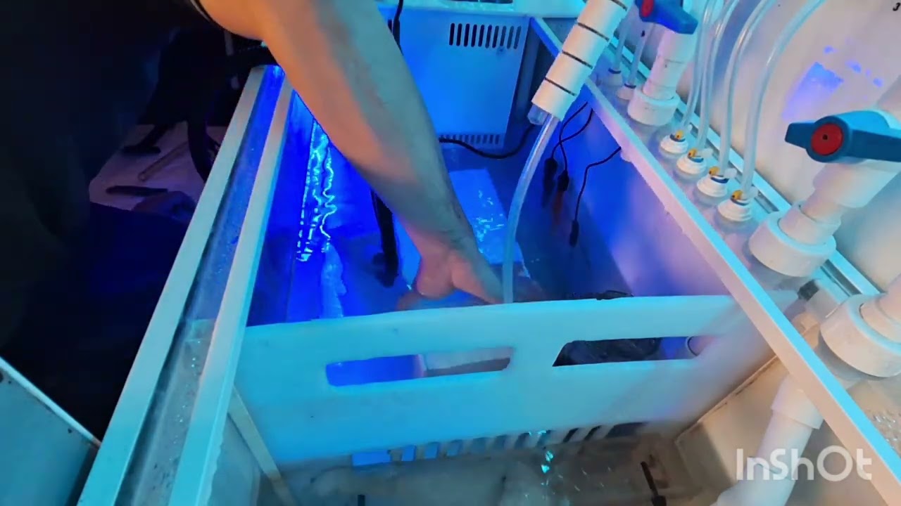 limpieza del sump