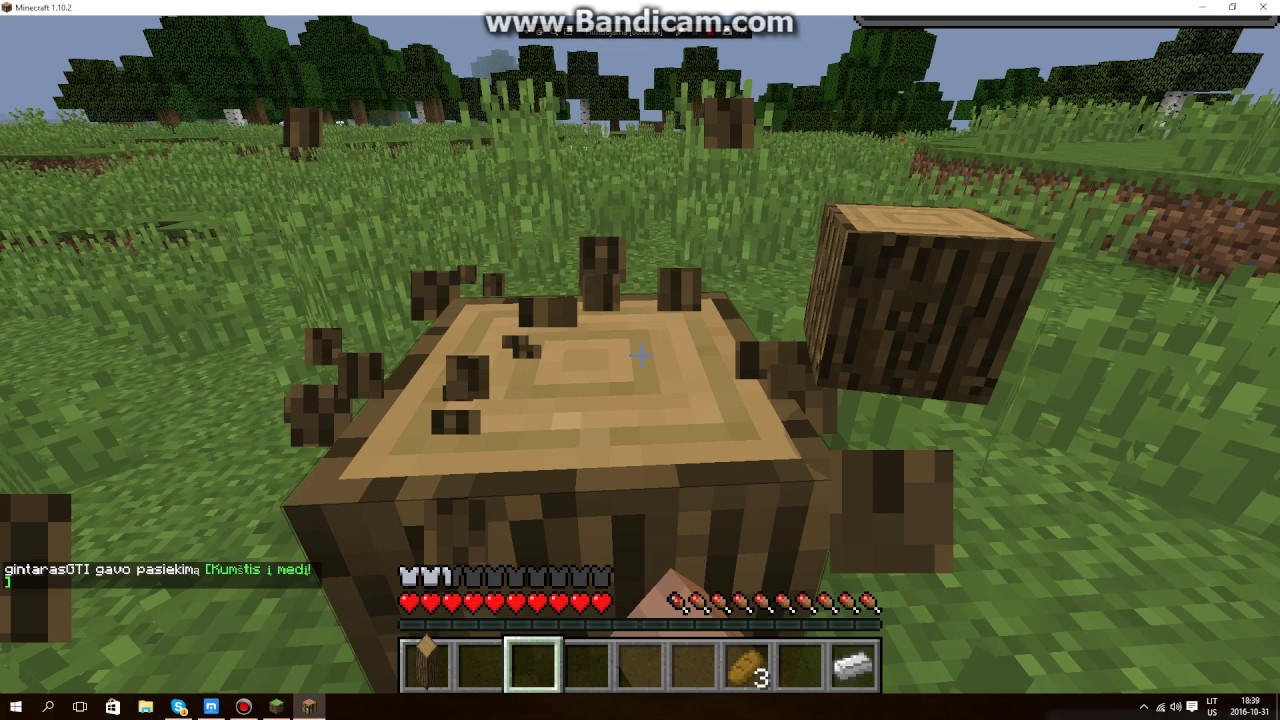SUPER GERA PRADŽIA!!! minecraft EP1