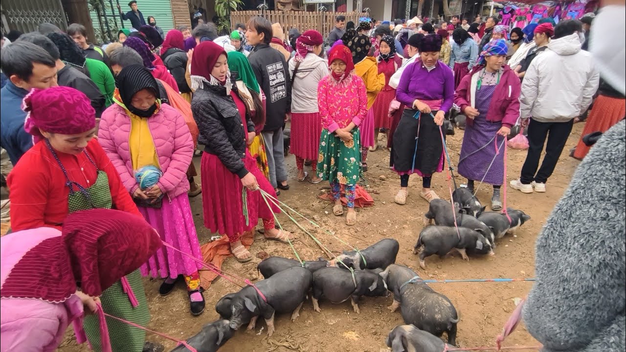 The Most Colorful Ethnic Market in Vietnam: Ha Giang Loop Must-See 🇻🇳