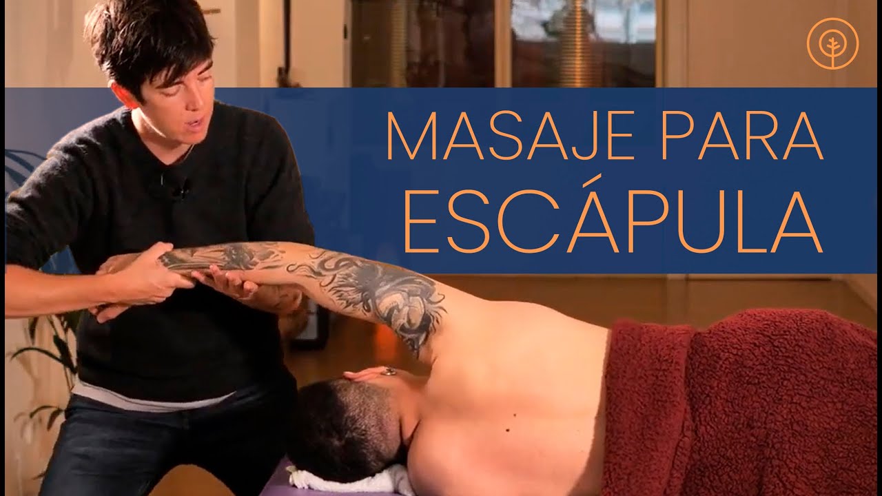 Estiramiento de ESCÁPULA  🙌 y  Estiramiento en ZONA COSTAL  [3 MINUTOS]
