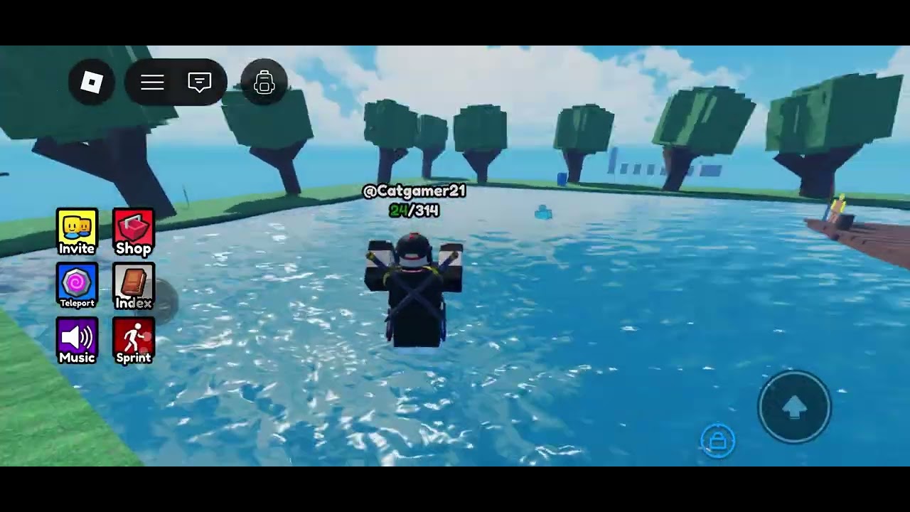 Today I am playing find the noobs