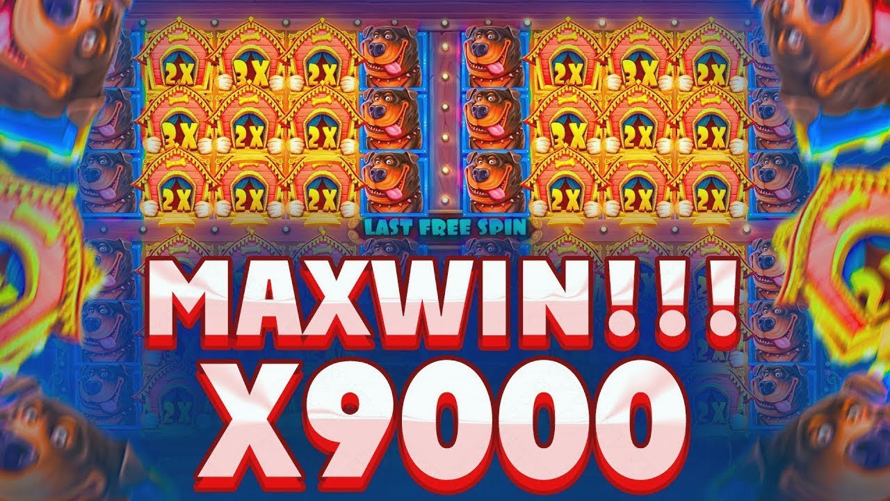 ПОЙМАЛ 9000X MAXWIN В THE DOG HOUSE MULTIHOLD!!! \ ВЫИГРАЛ 10.000.000Р! ЗАНОС!!!