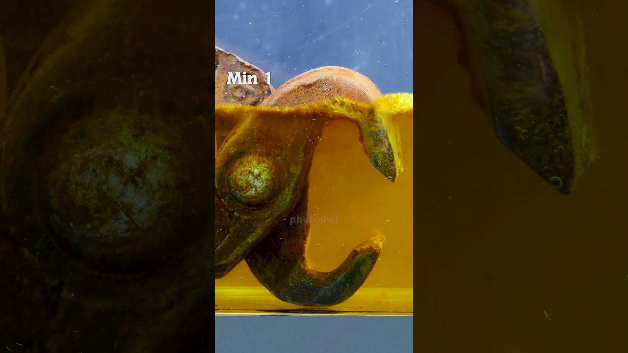 ACID RUST REMOVAL