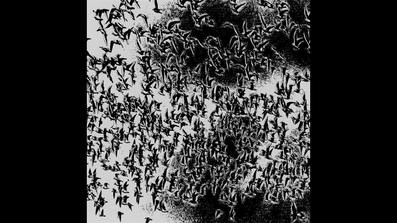 Swarm