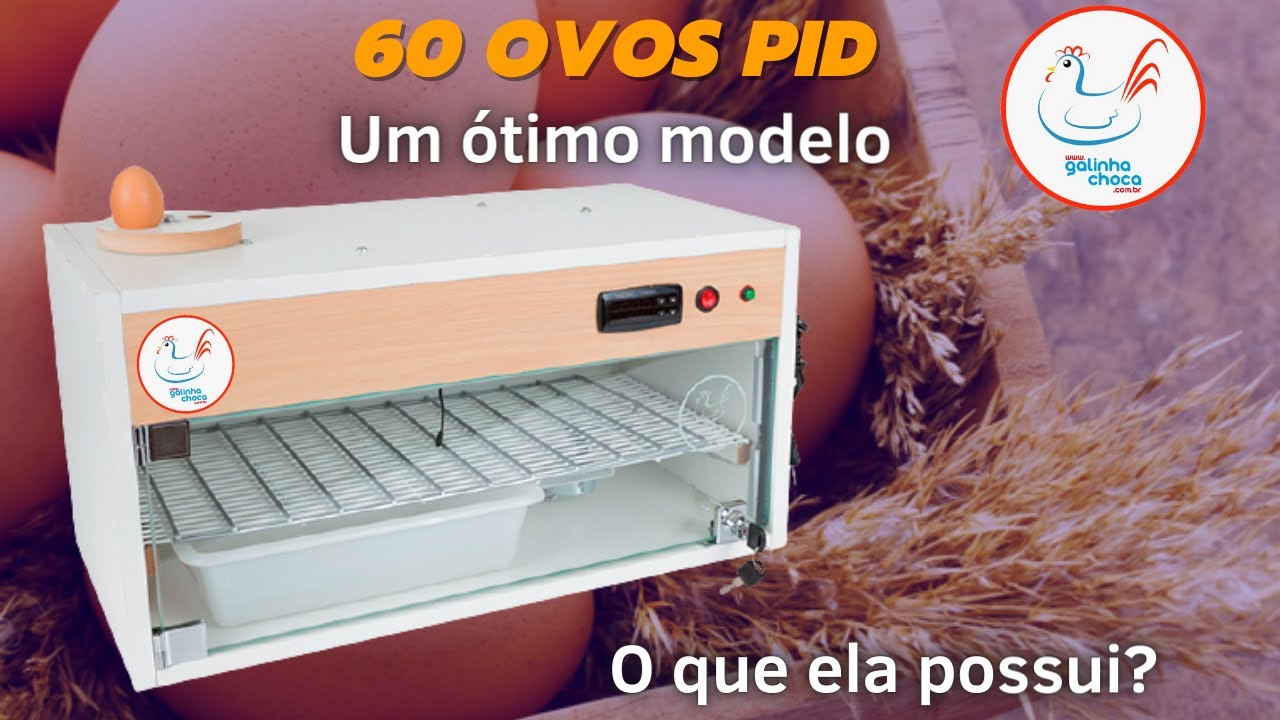 Chocadeira 60 ovos ALTA ECLOS&Atilde;O/ conhe&ccedil;a nossos produtos