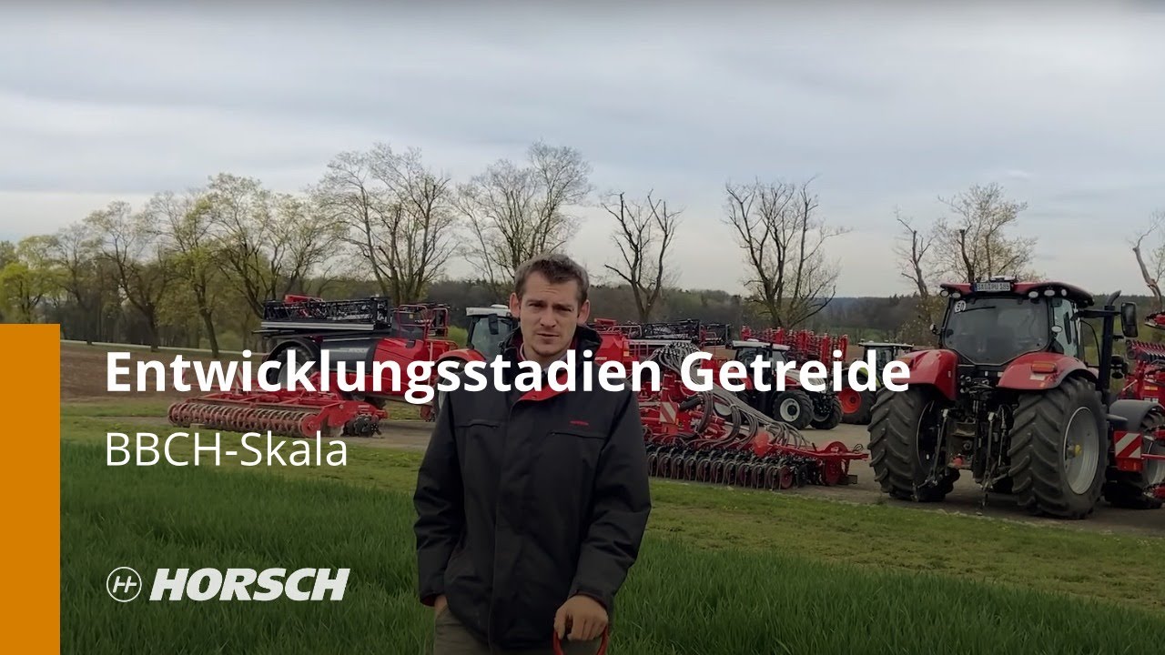 Entwicklungsstadien Getreide BBCH-Skala