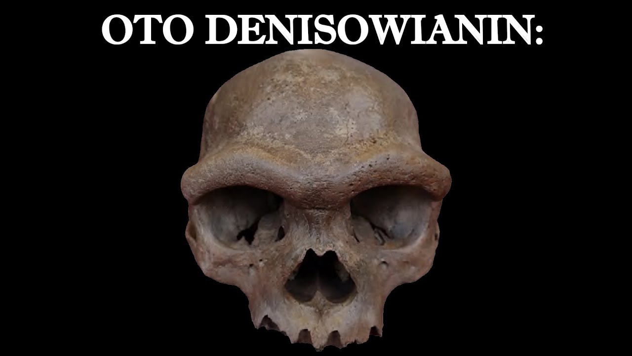 Zagadka Denisowian rozwiązana!