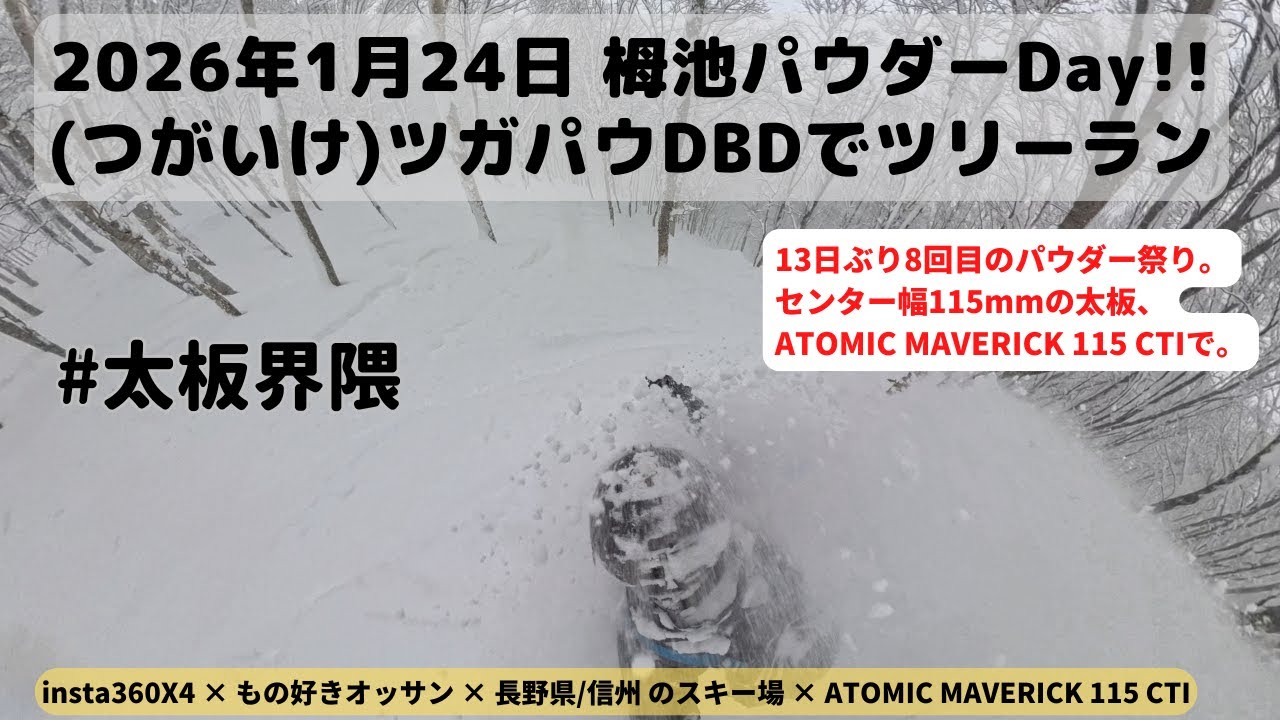 [2026/1/24] 大雪でパウパウのつがいけDBD。全身にパウダーを浴びてATOMIC MAVERICK 115 CTIで滑ります。#japow  #太板界隈
