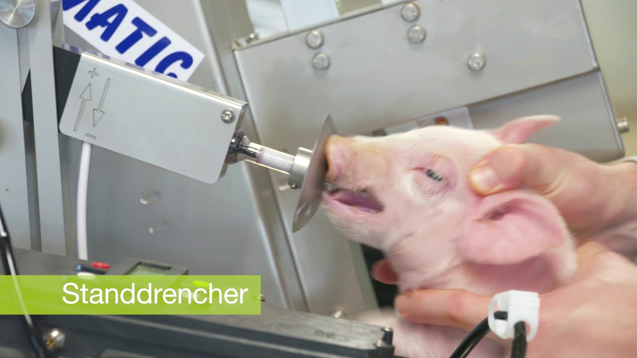 Merko Matic Ferkelwagen komplett