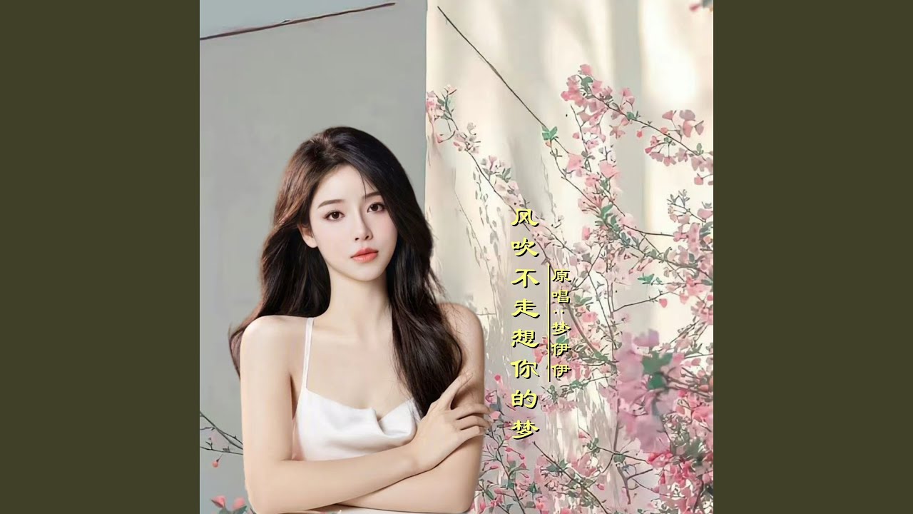 风吹不走想你的梦DJ