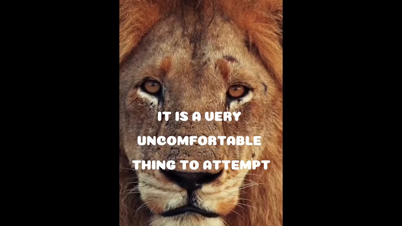 Break Limits and Transform Your Life