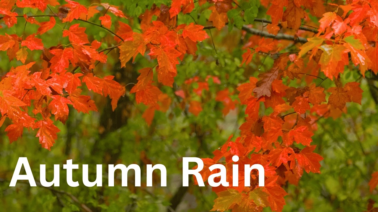 Autumn Rain - Deep relaxing piano music - 3 hours duration - Autumnrelax
