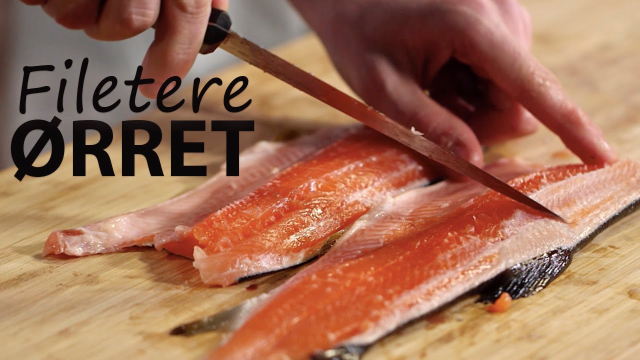 Hvordan filetere ørret eller annen småfisk