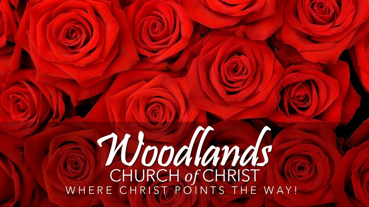 Sunday Worship Service (10:00 a.m.) - February 15, 2026